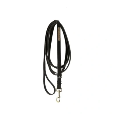 Image de Kentucky Hengstenketting Noir 4m