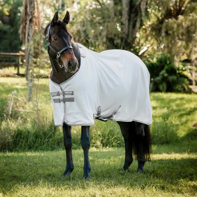 Image de Amigo Bug Rug