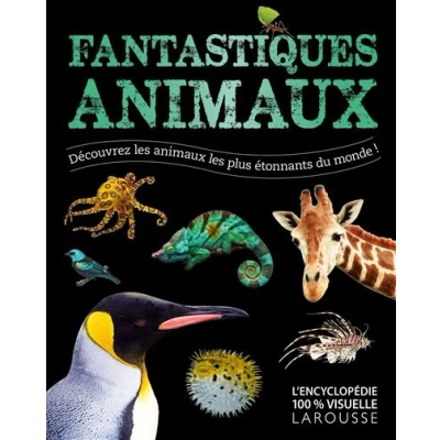 Image de Fantastiques Animaux
