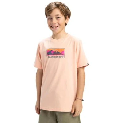 Afbeelding van Quiksilver Ev Gradient Box SS Yth T shirt pour garçon
