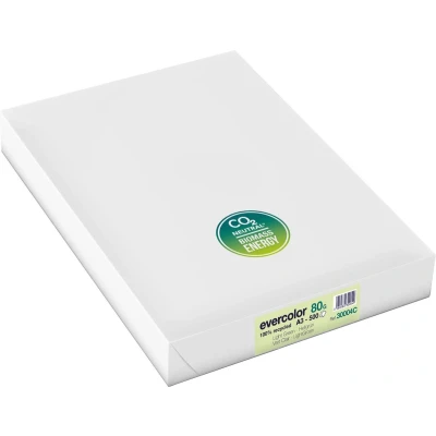 Afbeelding van Clairefontaine Evercolor Gekleurd Gerecycleerd Papier, A3, 80 G, 500 Vel, Lichtgroen Papier