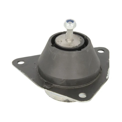 Afbeelding van DELPHI TEM035 Aslichaam / motorsteunlager RENAULT: LAGUNA 1 Grandtour
