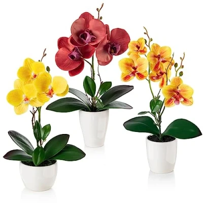 Afbeelding van PASCH® Set van 3 kunstbloemen in pot (35 cm) Kunstorchideeën glanzende keramische potten (rood, oranje, geel)