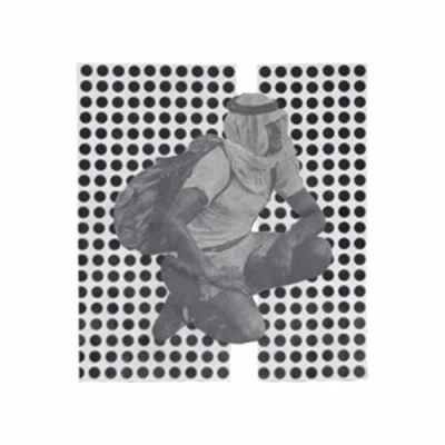 Afbeelding van Ulrika Spacek The Album Paranoia (CD)