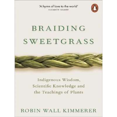 Image de Braiding Sweetgrass