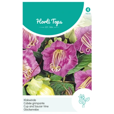 Afbeelding van Cobaea Scandens Violetblauw Hortitops
