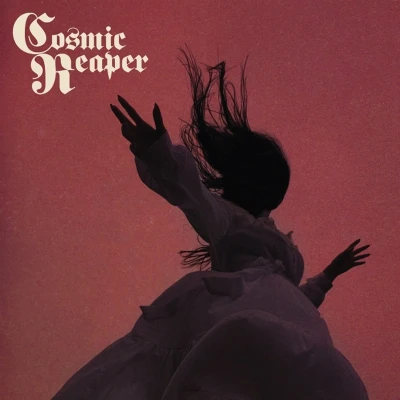 Afbeelding van Cosmic Reaper Bleed the Wicked, Drown Damned (LP)