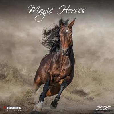 Afbeelding van Magic Horses Kalender 2025