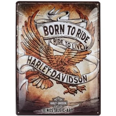 Afbeelding van Wandbord Harley Davidson Born To Ride Live