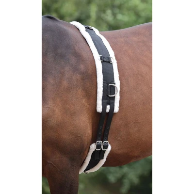 Afbeelding van Shires Nylon Longeersingel met Fleece Voering Black Cob