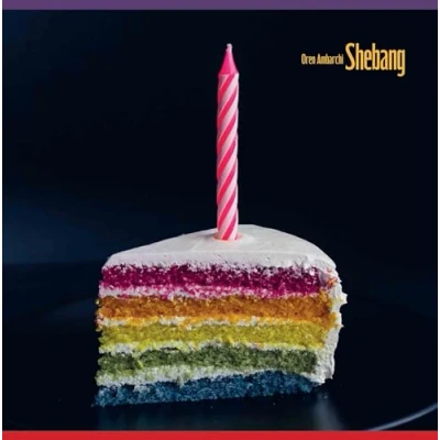 Afbeelding van Oren Ambarchi Shebang (LP)