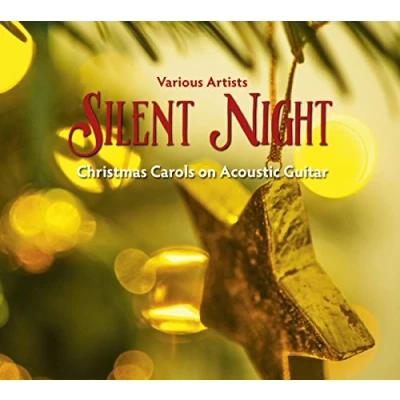 Afbeelding van Various Artists Silent Night (CD)