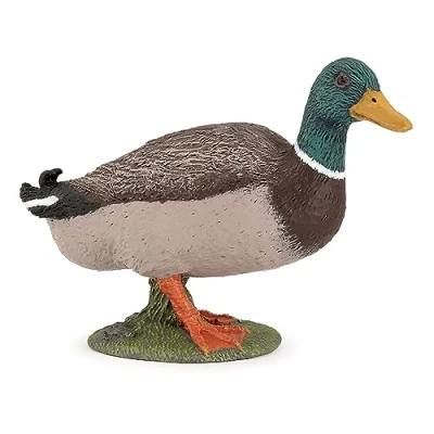 Afbeelding van Papo Verzamelfiguren Colvert eend Boerderijdieren Geschikt voor kinderen Meisjes en jongens Vanaf 3 jaar