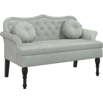 Afbeelding van vidaXL Bankje met kussens 120,5x65x75 cm fluweel lichtgrijs
