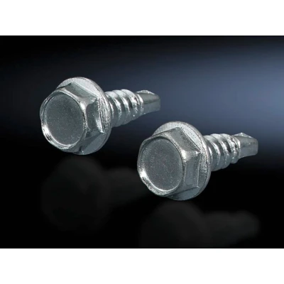 Afbeelding van Rittal SZ 2487.000 Bevestigingsschroef Zelfsnijdend Plaatstaal 300 stuk(s)