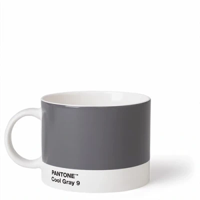 Afbeelding van Pantone Theekop Bone China Cool Gray 9 C