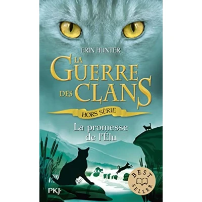Afbeelding van La promesse de l&#039;Elu