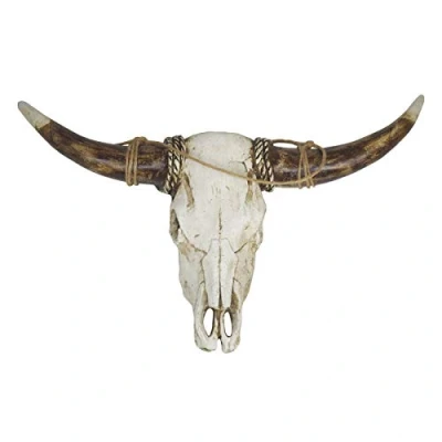 Afbeelding van Skull Buffel Schedel Wanddecoratie Muurdecoratie 24 cm hoog