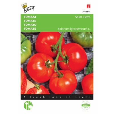 Afbeelding van Tomaat Saint Pierre, Grote Vollegrondse