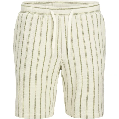 Afbeelding van Jack &amp; Jones Jpstjaiden COBA Stripe Shorts, Heren, Maat: XXL, Cedar
