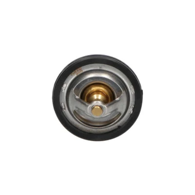 Afbeelding van Kavo Parts Thermostaat TH 9010