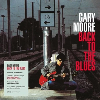 Afbeelding van Gary Moore Back To Blues (2 LPs)