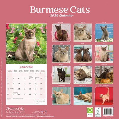 Afbeelding van Burmees Kalender 2026
