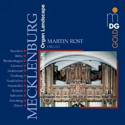 Afbeelding van Martin Rost Organ Landscapes Mecklenburg (2 CD)