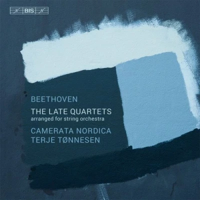 Afbeelding van Camerata Nordica The Late String Quartets (3 CD)