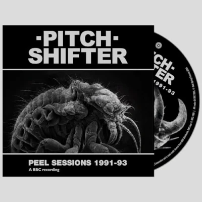 Afbeelding van Peel Sessions 1991 93