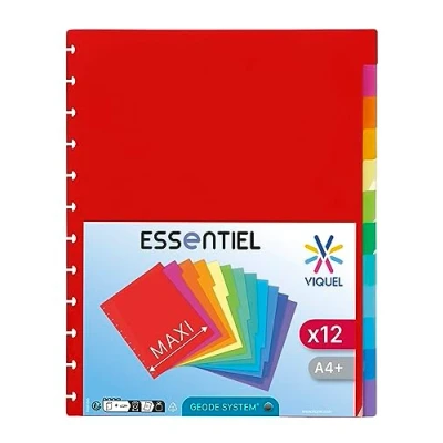 Afbeelding van Viquel Set van 12 Maxi tabbladen A4 met speciale perforatie voor GEODE zichtdeur afneembare hoezen