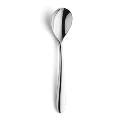 Afbeelding van Set Lepels Amefa Cuba (12 pcs) Roestvrij staal