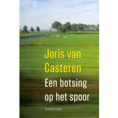 Afbeelding van Een botsing op het spoor