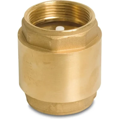 Afbeelding van Mega Terugslagklep veerbelast messing 1/4 inch binnendraad 16bar type 5