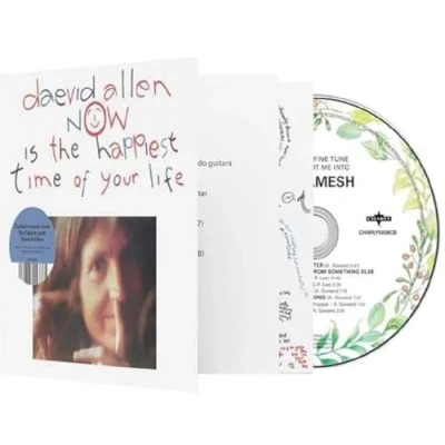 Afbeelding van Daevid Allen Now Is The Happiest Time Of Your Life (CD)