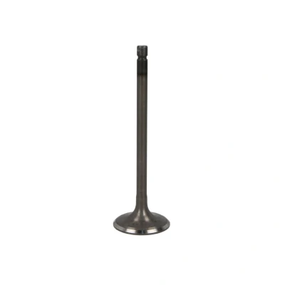 Afbeelding van FRECCIA R6593/SNT Inlaatklep 30 Klepsteel met nitraat verzien