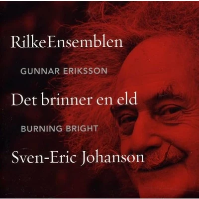 Afbeelding van Sven Eric Johanson: Burning Bright