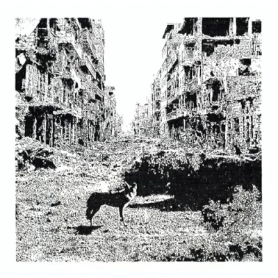 Afbeelding van Vox Low Keep On Falling (LP)