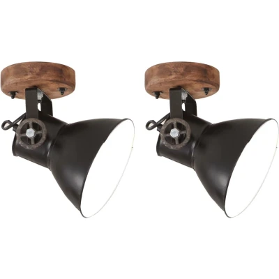 Afbeelding van vidaXL Wand /plafondlampen industrieel 2 st E27 20x25 cm zwart