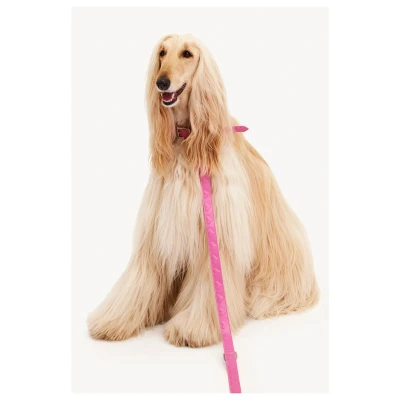Afbeelding van Dogguo Heart Leash Hondenriem Roze