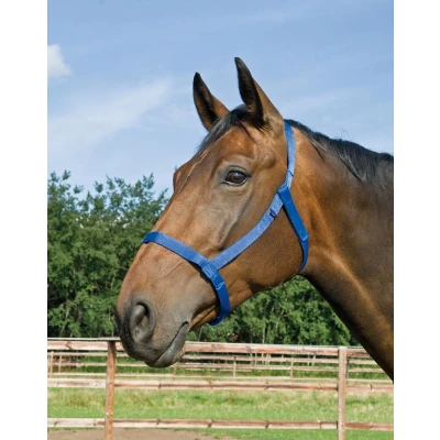 Image de Busse meadow halter