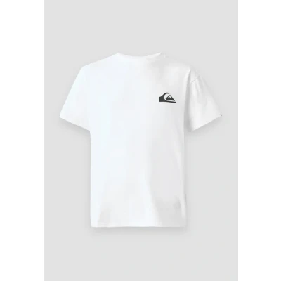 Afbeelding van Quiksilver Ev Mini Logo Ss T shirt voor heren (1 stuk)