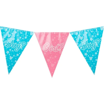 Afbeelding van Gender Reveal Party Slinger 10 meter