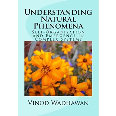 Afbeelding van Understanding Natural Phenomena