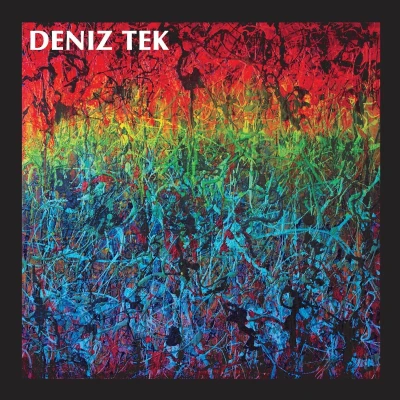 Afbeelding van Deniz Tek Mean Old Twister (LP)