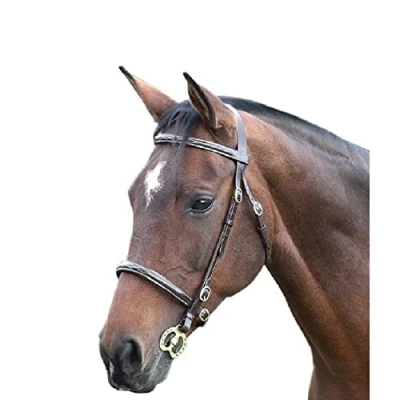 Afbeelding van Blenheim Hoofdstel Chique Ingenaaid Havana Full
