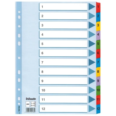 Image de Esselte 100162 intercalaires A4 en carton avec 12 onglets (11 trous)