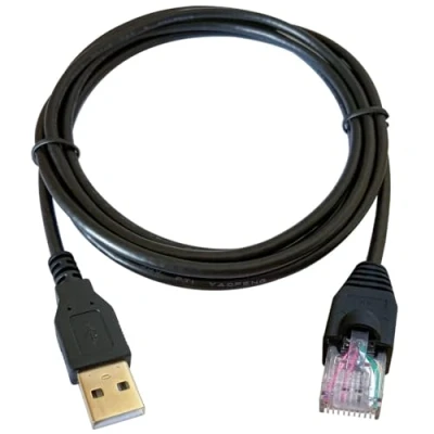 Afbeelding van DSD TECH SH RJ50A USB naar RJ50 10PIN kabel voor UPS APC apparaten komt overeen met AP9827 (1,8 m/6FT)