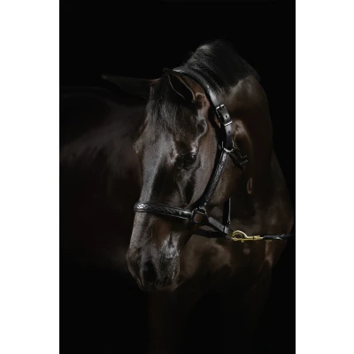 Image de Mrs. Ros Licol Diamond Deluxe Movie Star Cuir Noir Cob