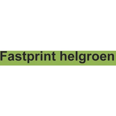 Afbeelding van Kopieerpapier Fastprint A4 120gr helgroen 250vel